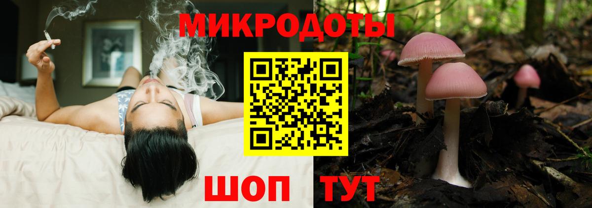 Галлюциногенные грибы Magic Shrooms Димитровград