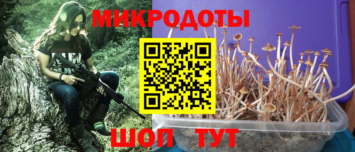 Псилоцибиновые грибы ЛСД  Вход с VPN  Димитровград 